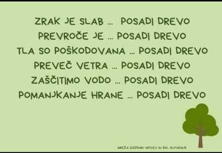 LURA_Posadi drevo_0325